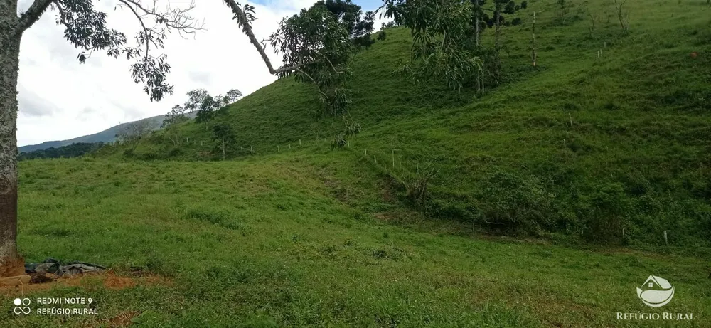 Terreno, 7 hectares - Foto 11