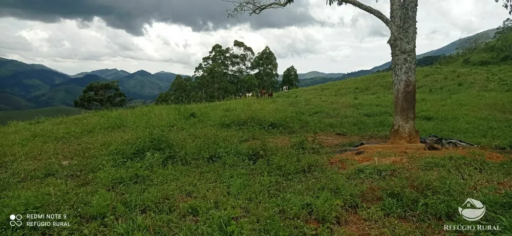 Terreno, 7 hectares - Foto 8