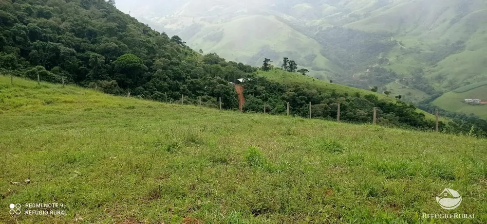 Terreno, 7 hectares - Foto 5