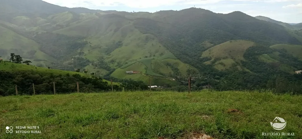 Terreno, 7 hectares - Foto 6