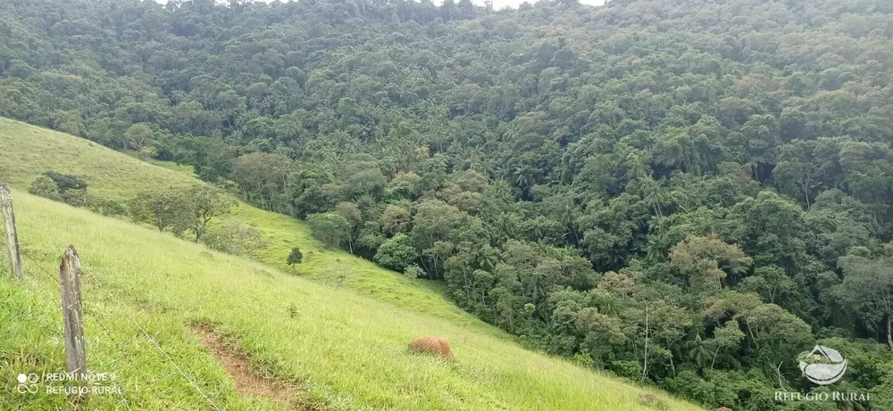 Terreno, 7 hectares - Foto 9