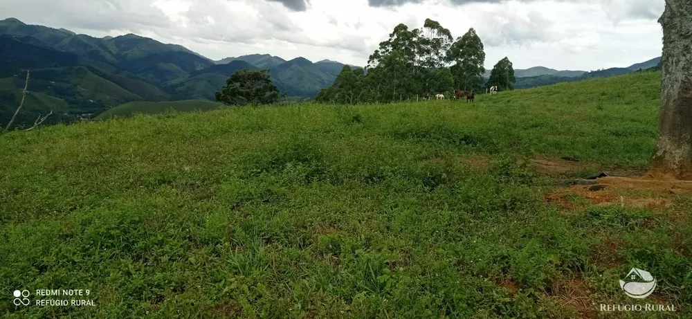 Terreno, 7 hectares - Foto 7