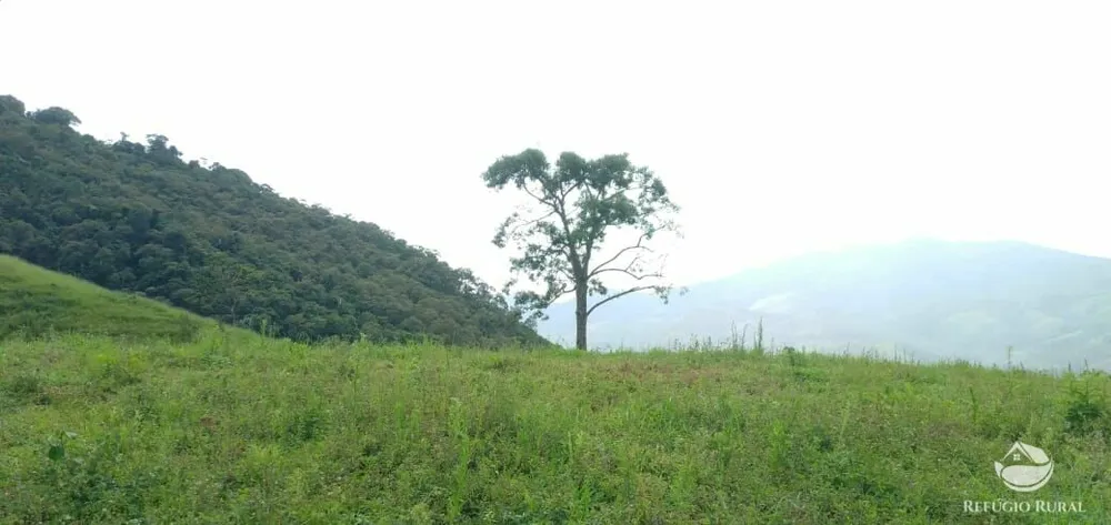 Terreno, 7 hectares - Foto 2