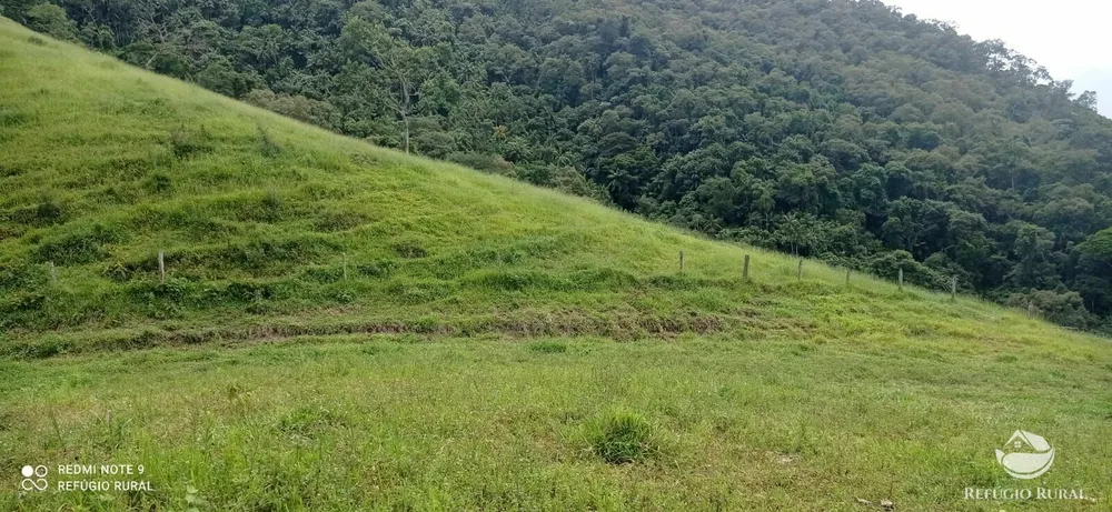 Terreno, 7 hectares - Foto 4
