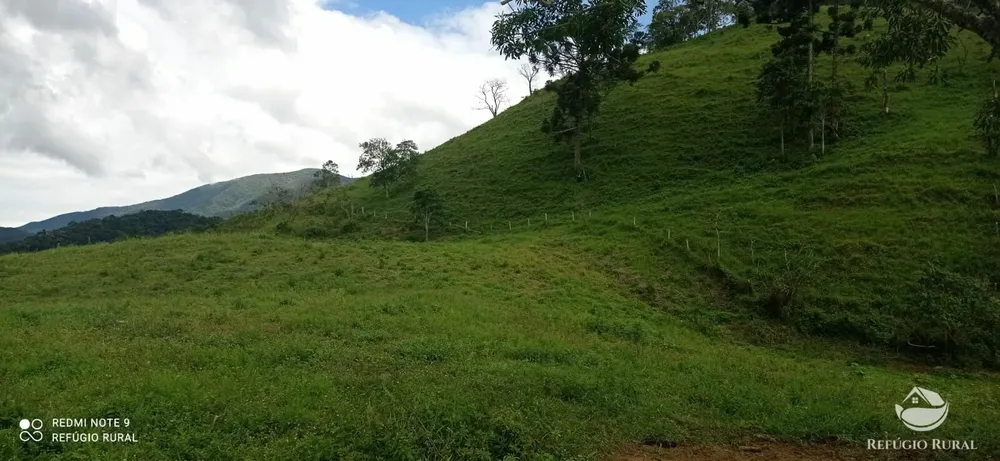 Terreno, 7 hectares - Foto 3