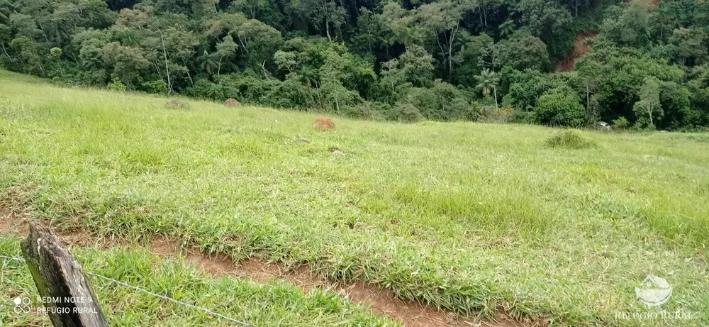 Terreno, 7 hectares - Foto 12