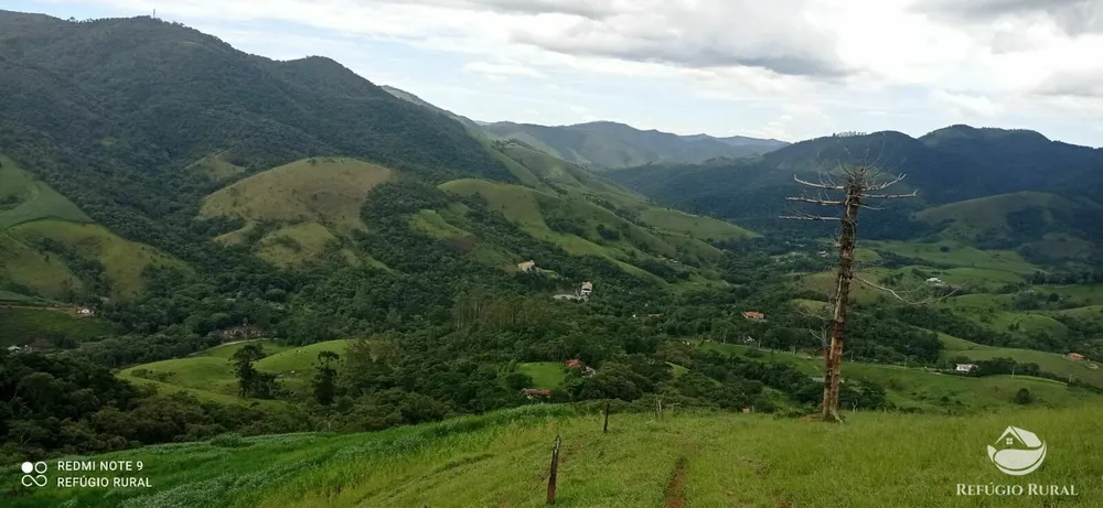 Terreno, 7 hectares - Foto 10
