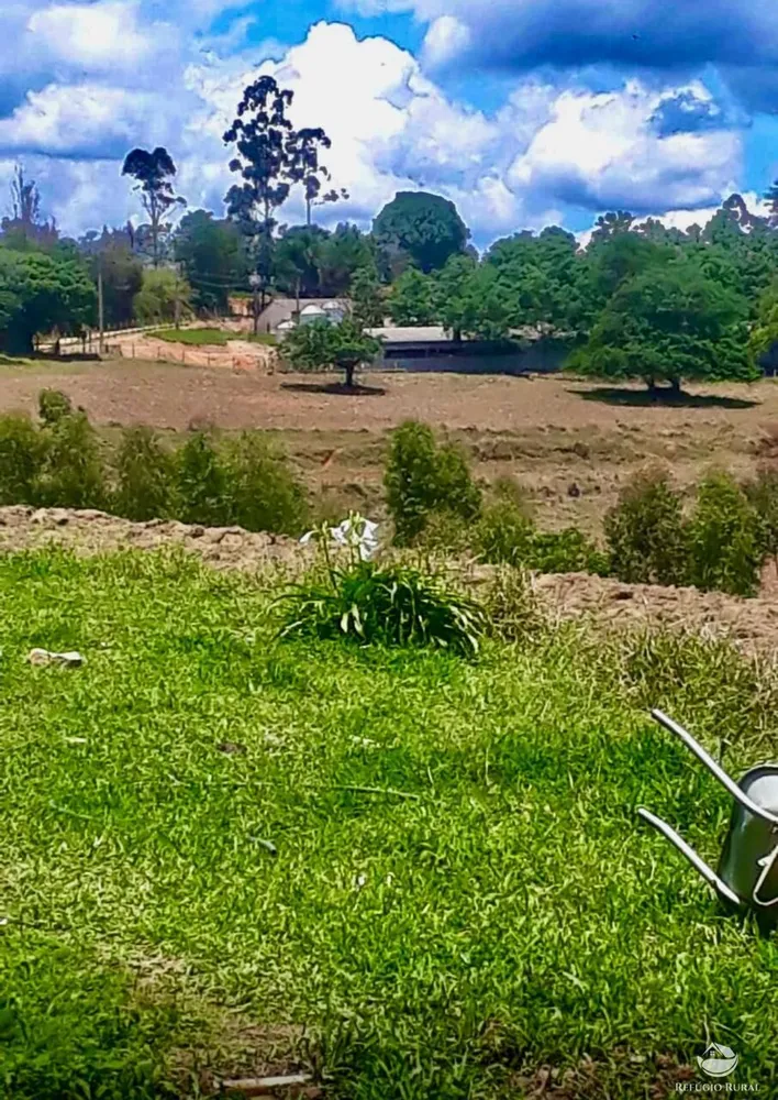 Fazenda, 301 hectares - Foto 1