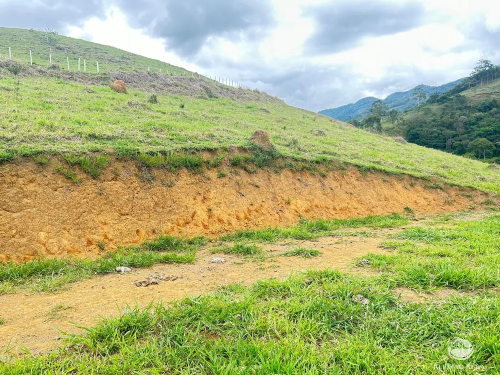 Chácara, 2 hectares - Foto 18