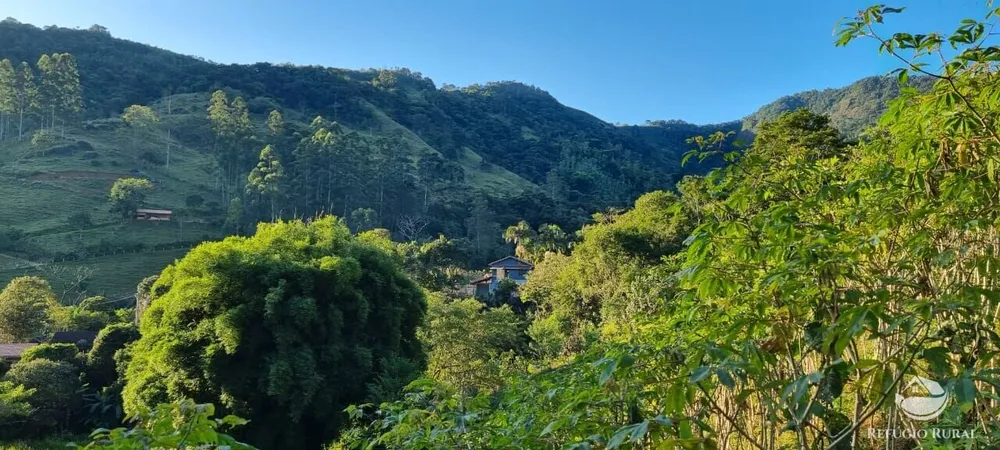 Sítio, 22 hectares - Foto 11
