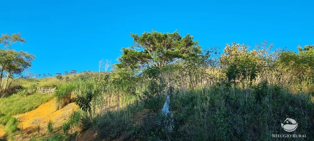 Sítio, 22 hectares - Foto 13