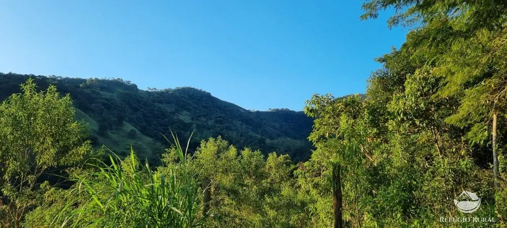 Sítio, 22 hectares - Foto 4
