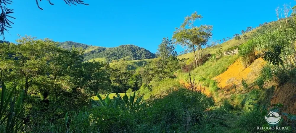 Sítio, 22 hectares - Foto 14