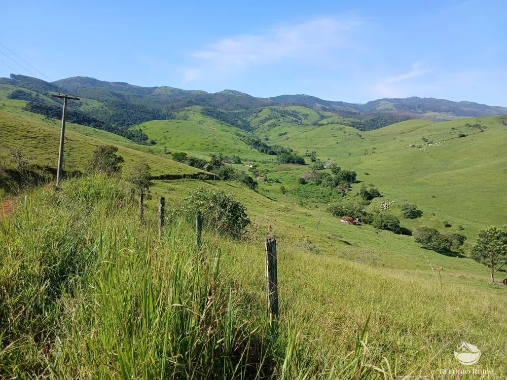 Fazenda, 435 hectares - Foto 2