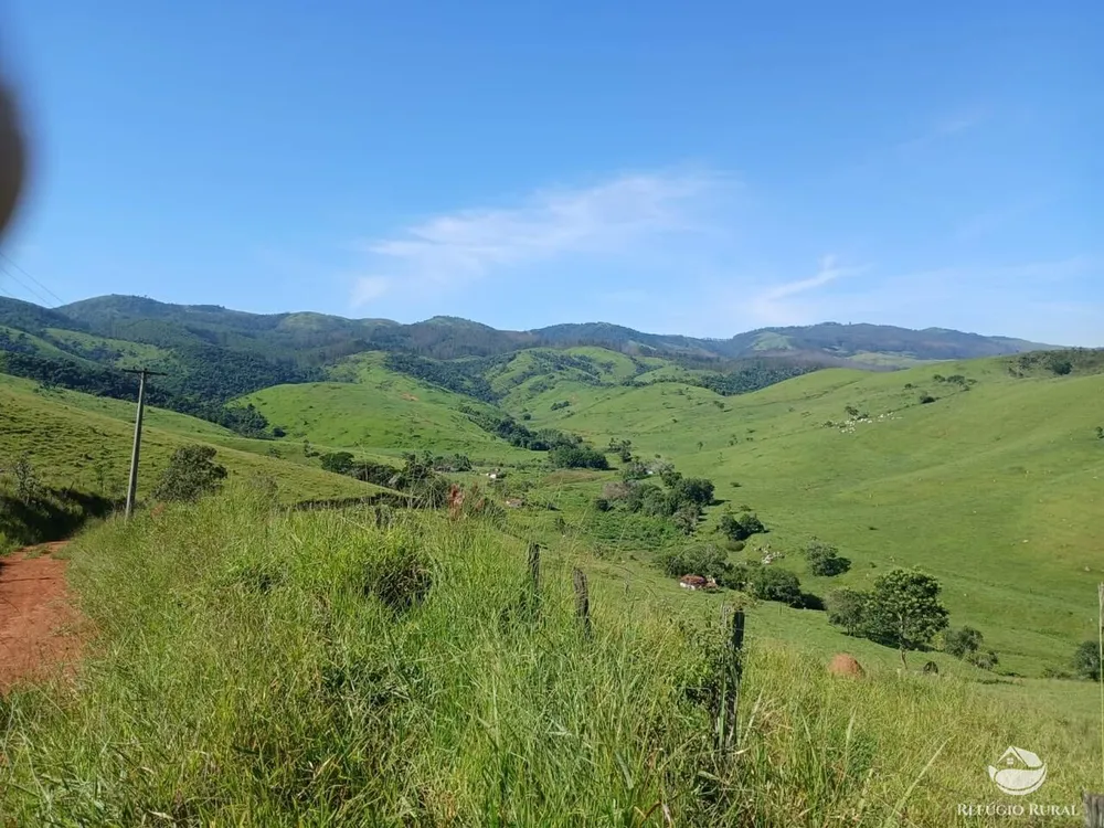 Fazenda, 435 hectares - Foto 13