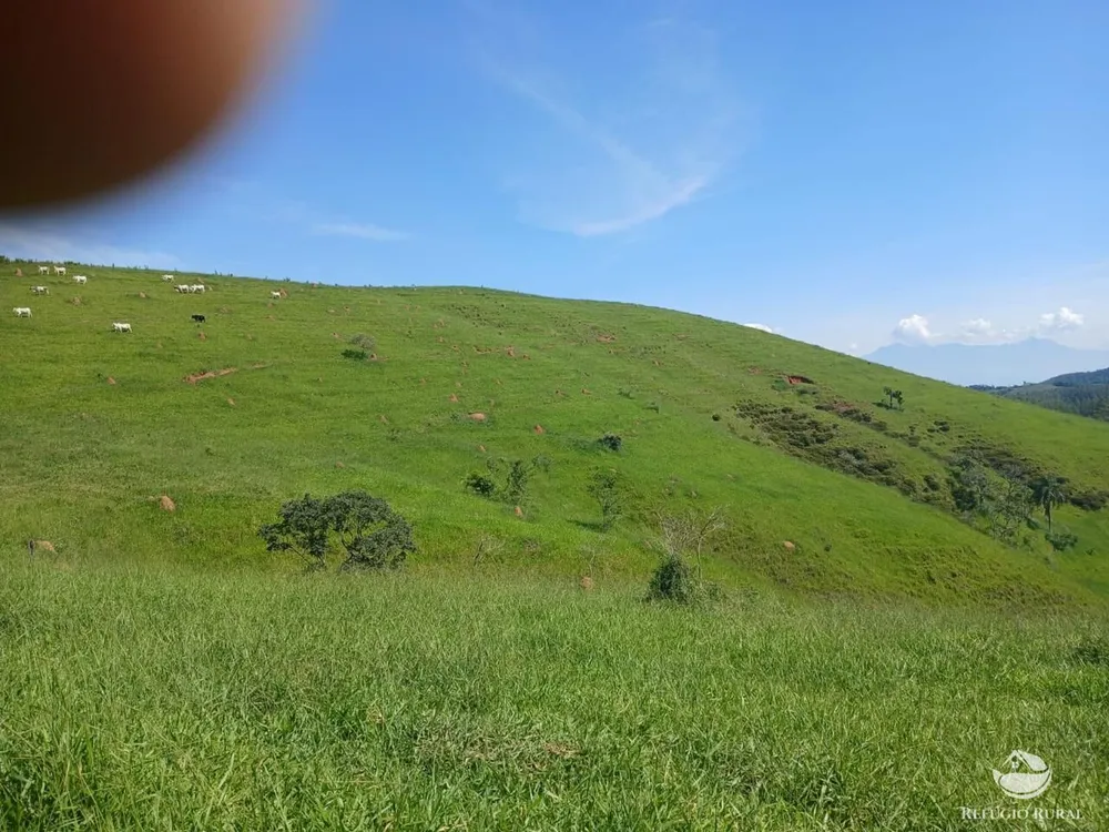 Fazenda, 435 hectares - Foto 12