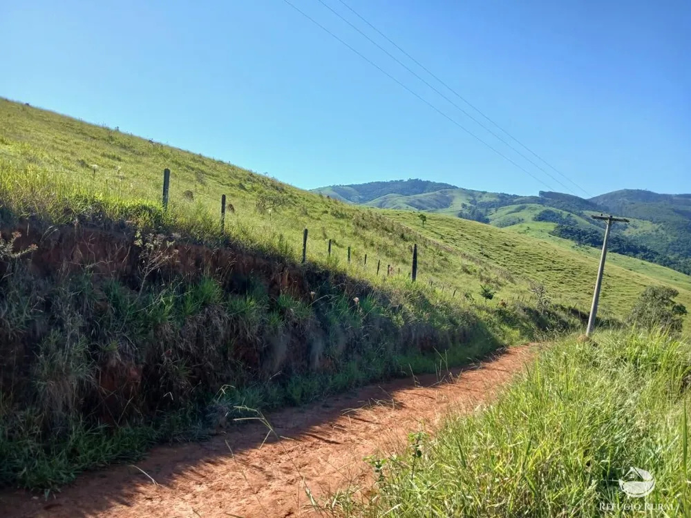 Fazenda, 435 hectares - Foto 14