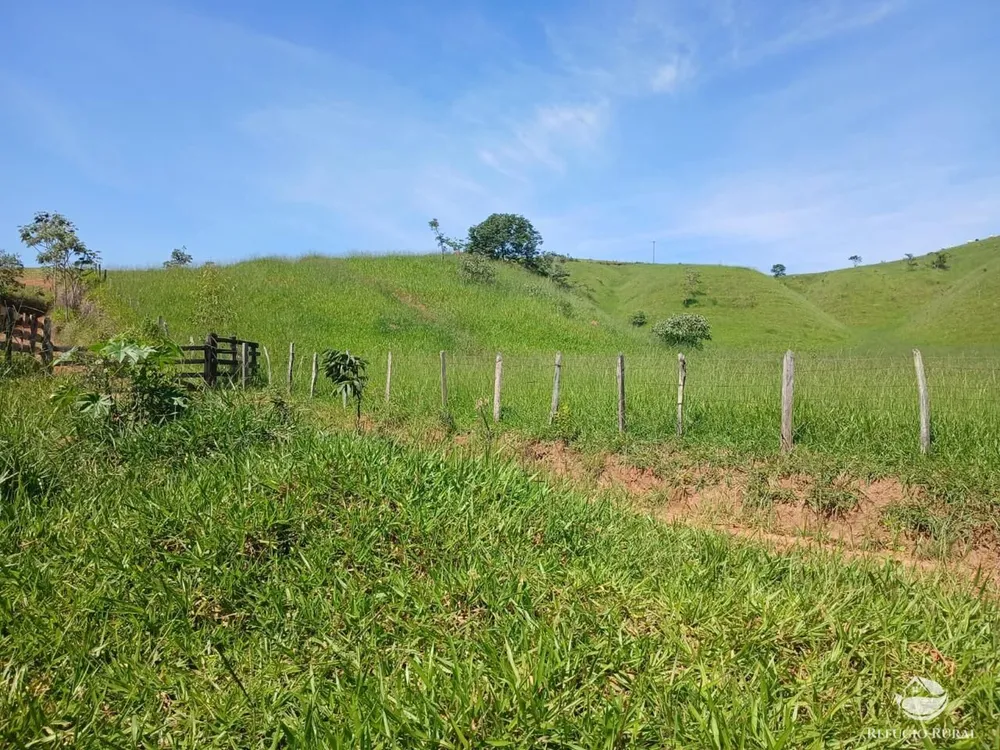 Fazenda, 435 hectares - Foto 15