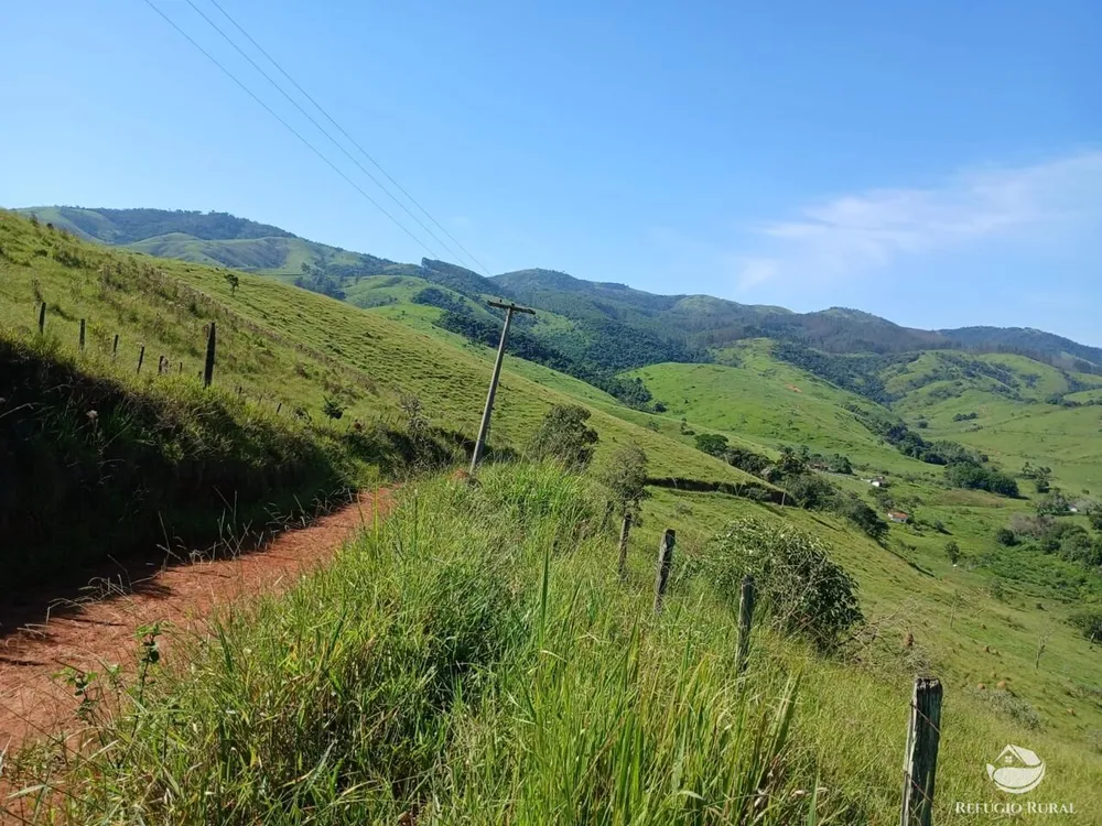 Fazenda, 435 hectares - Foto 11