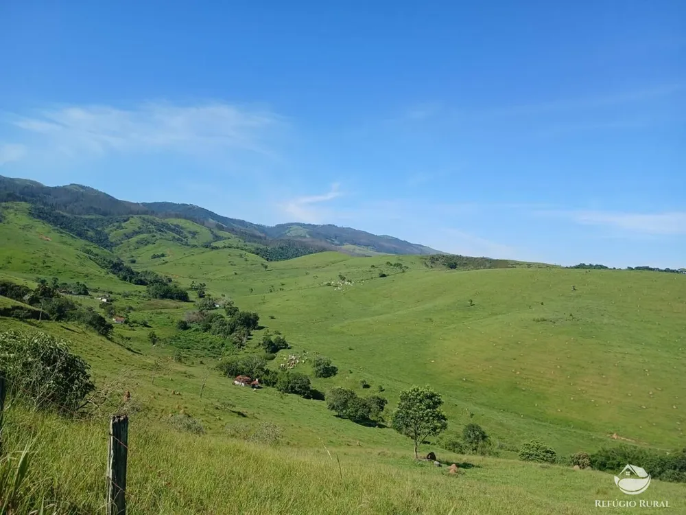 Fazenda, 435 hectares - Foto 6