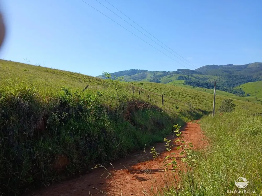 Fazenda, 435 hectares - Foto 10