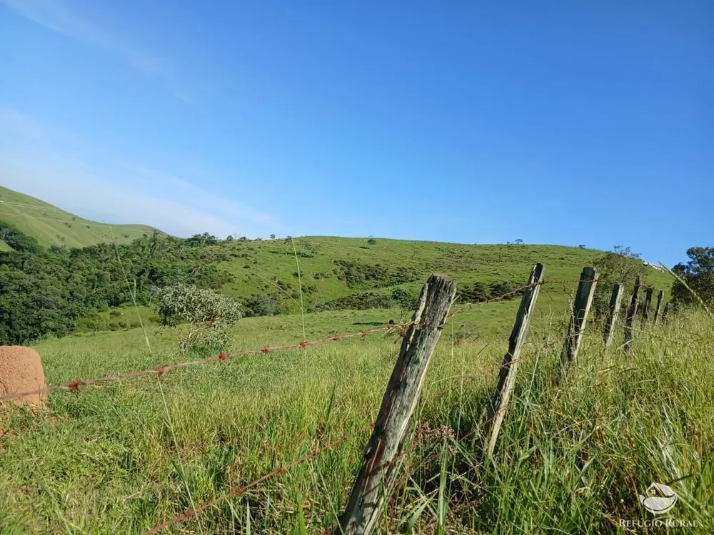 Fazenda, 435 hectares - Foto 9