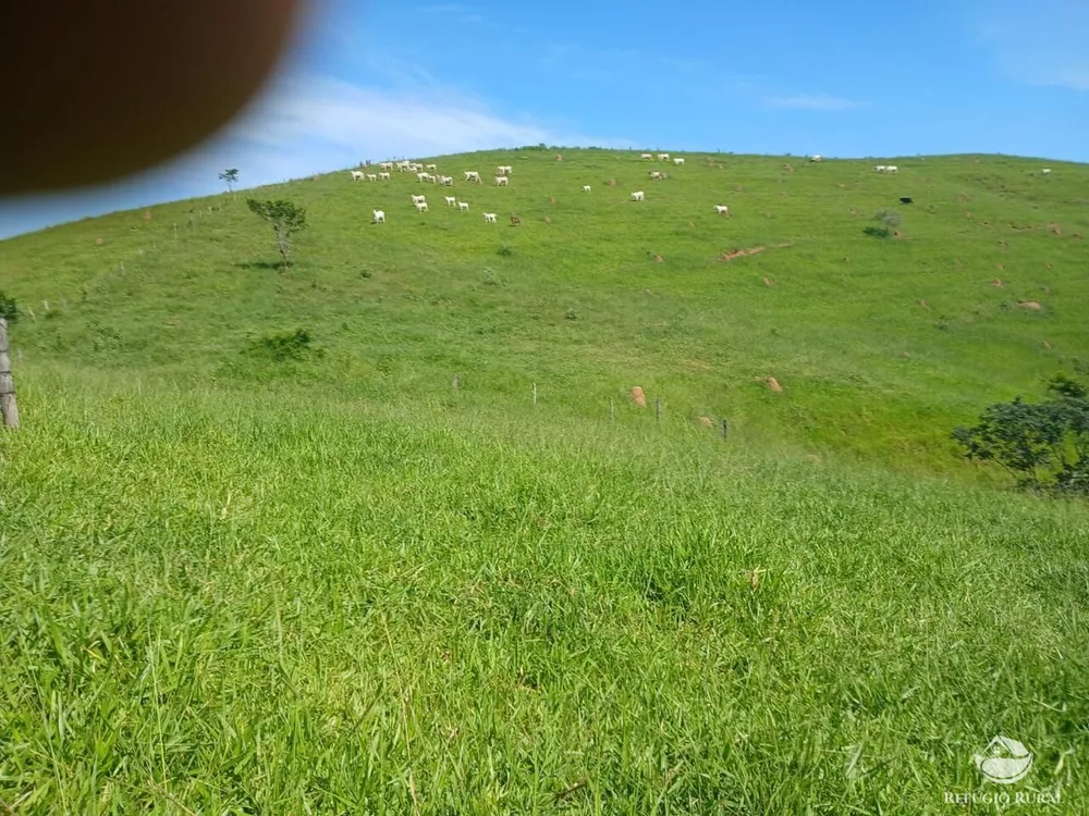 Fazenda, 435 hectares - Foto 16
