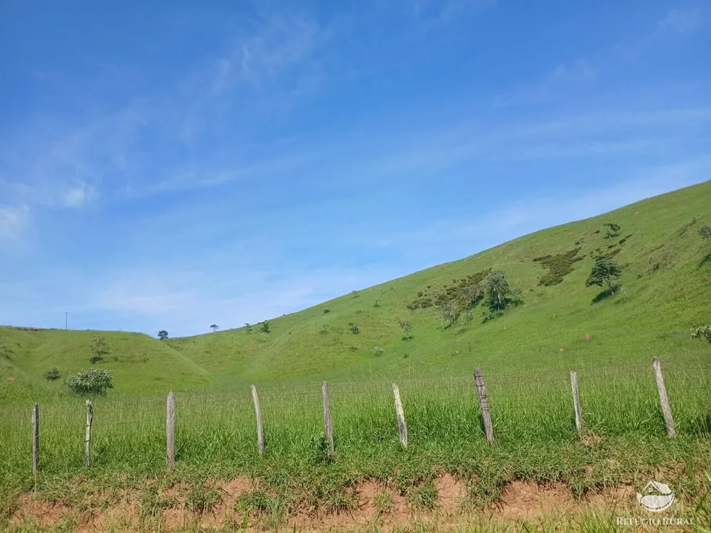 Fazenda, 435 hectares - Foto 3