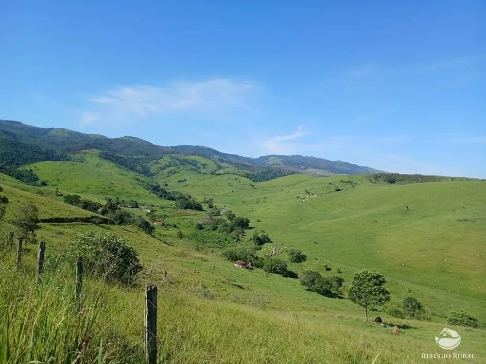 Fazenda, 435 hectares - Foto 8