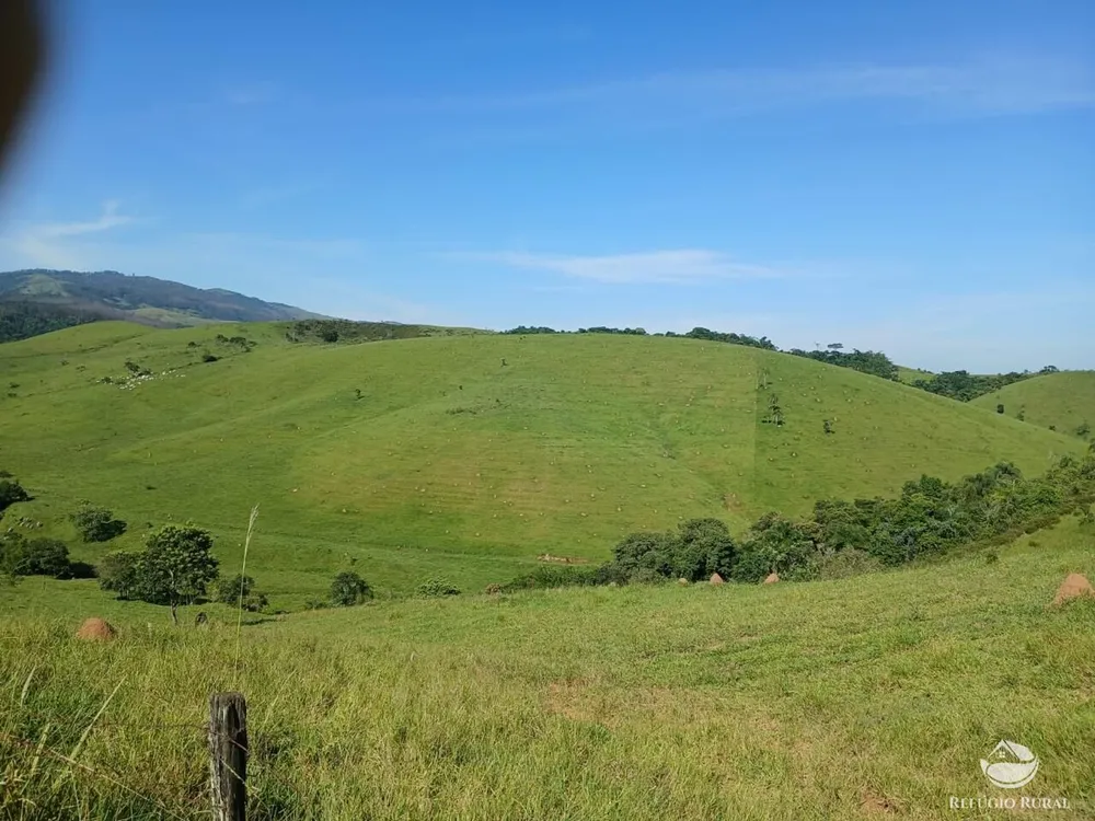 Fazenda, 435 hectares - Foto 4