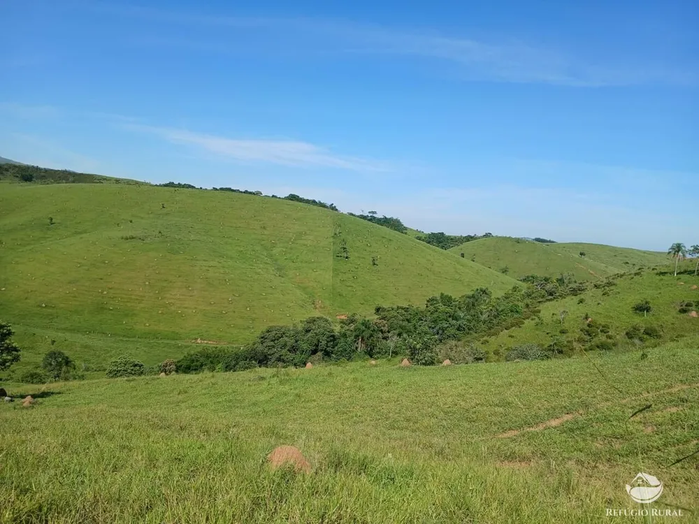 Fazenda, 435 hectares - Foto 1