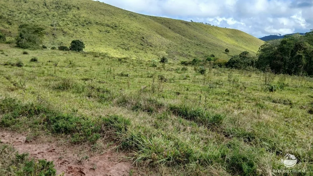 Sítio, 72 hectares - Foto 2