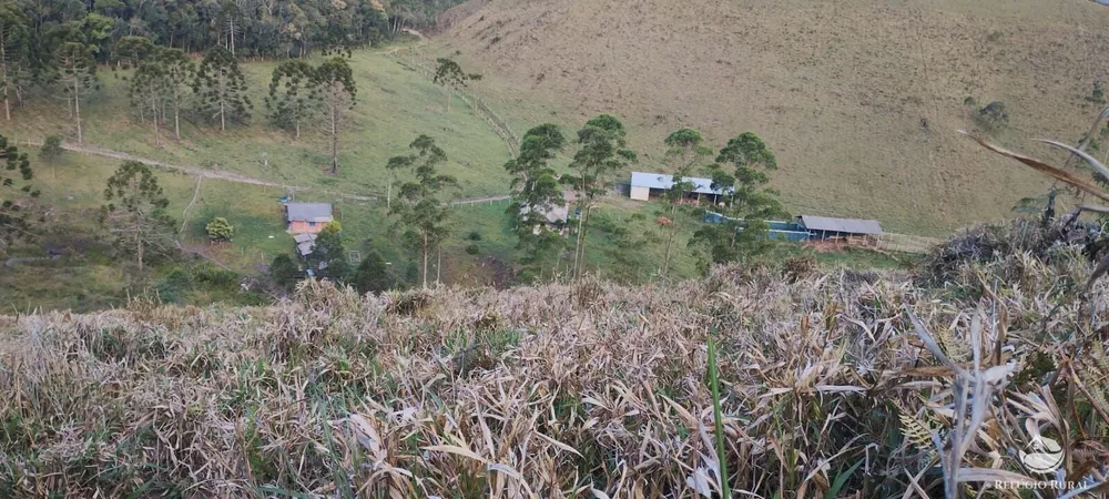 Sítio, 72 hectares - Foto 3