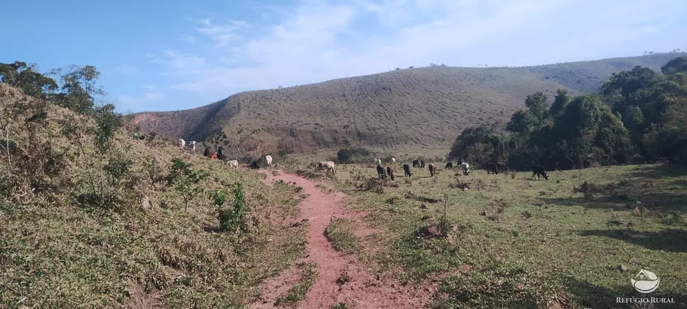 Sítio, 72 hectares - Foto 4