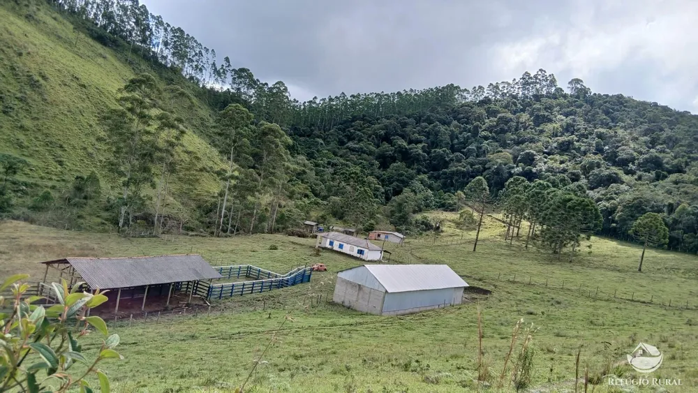 Sítio, 72 hectares - Foto 7