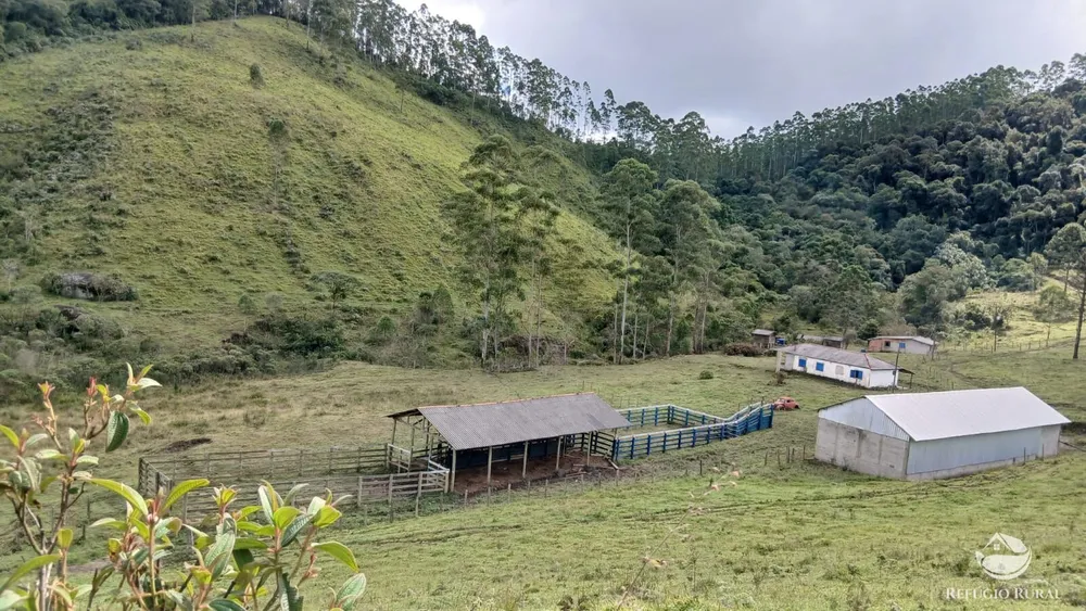 Sítio, 72 hectares - Foto 1