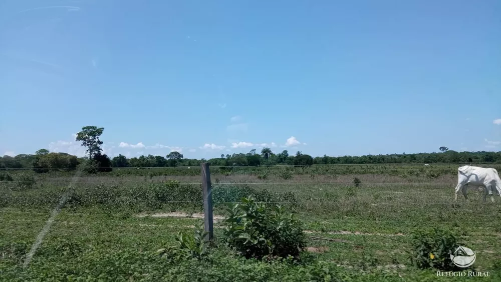 Fazenda, 560 hectares - Foto 3