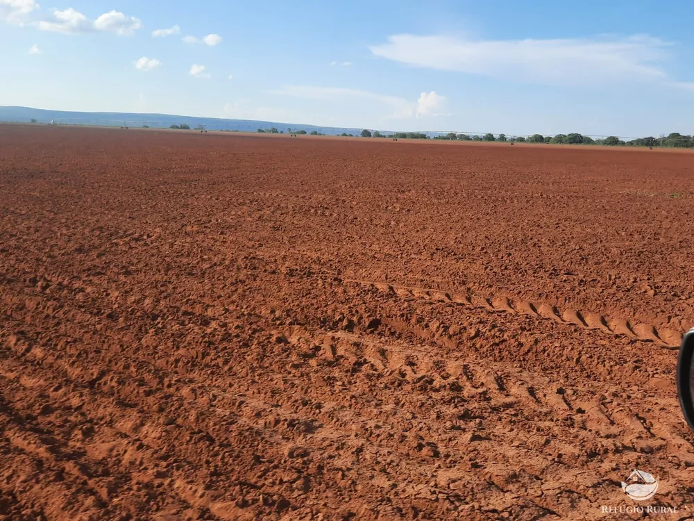 Fazenda, 560 hectares - Foto 8