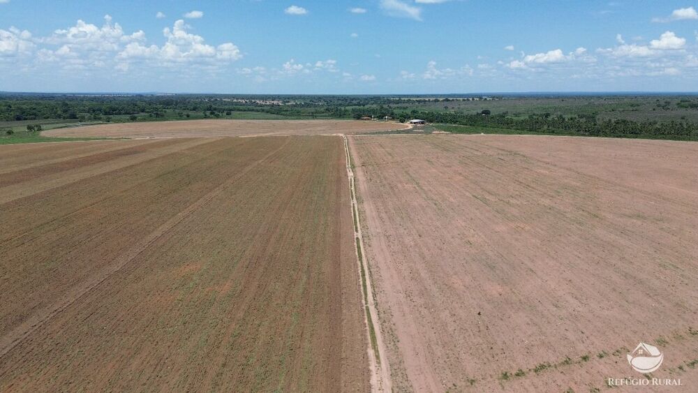 Fazenda, 560 hectares - Foto 6