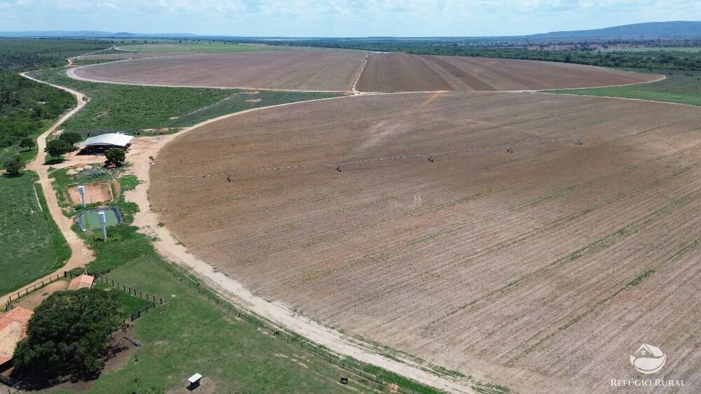Fazenda, 560 hectares - Foto 1