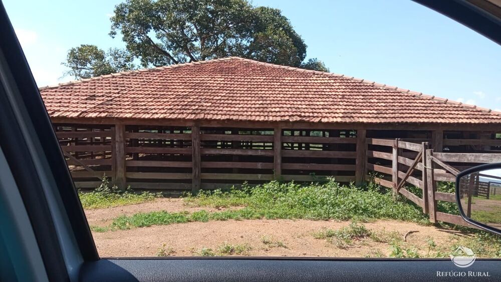 Fazenda, 560 hectares - Foto 7