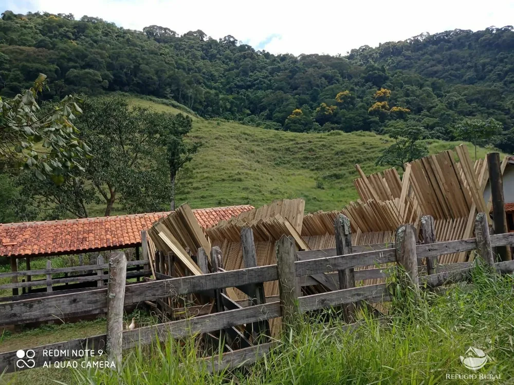 Sítio, 29 hectares - Foto 4