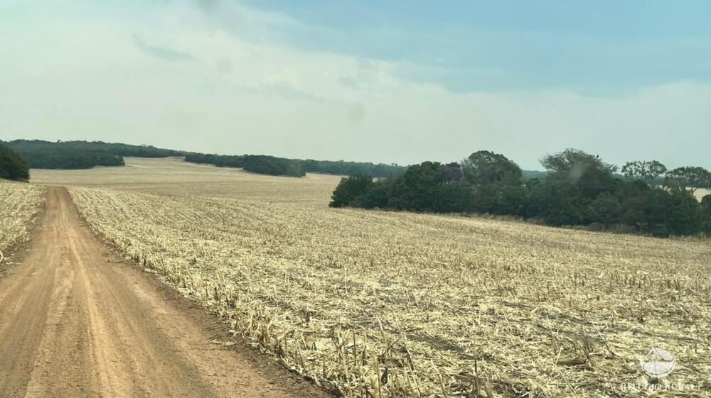Fazenda à venda com 6 quartos, 245500000m² - Foto 4