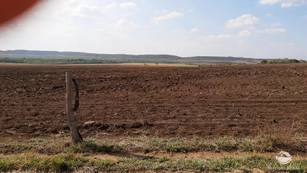 Fazenda, 1034 hectares - Foto 10