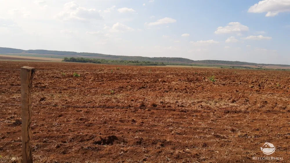 Fazenda, 1034 hectares - Foto 11