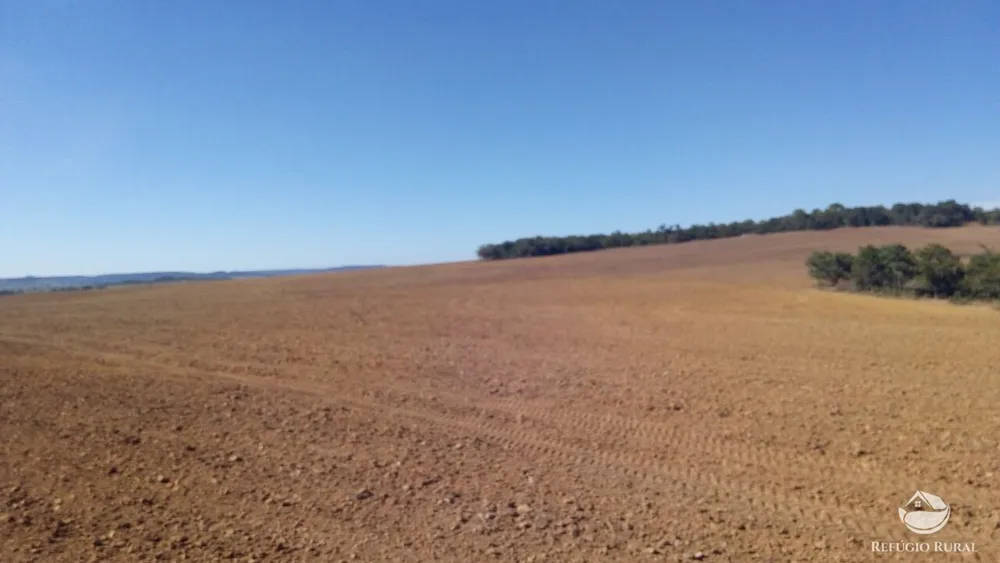 Fazenda, 1034 hectares - Foto 3