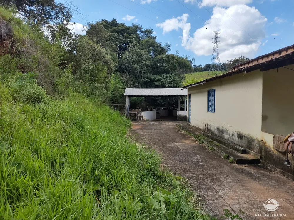 Sítio, 27 hectares - Foto 10