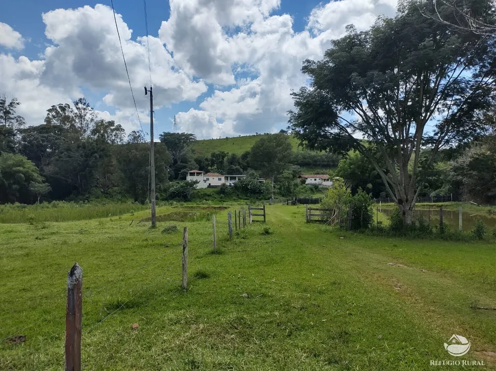 Sítio, 27 hectares - Foto 15