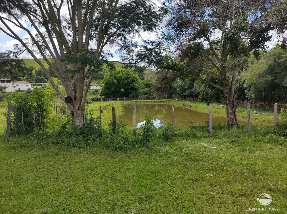 Sítio, 27 hectares - Foto 16