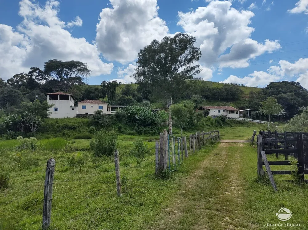 Sítio, 27 hectares - Foto 13